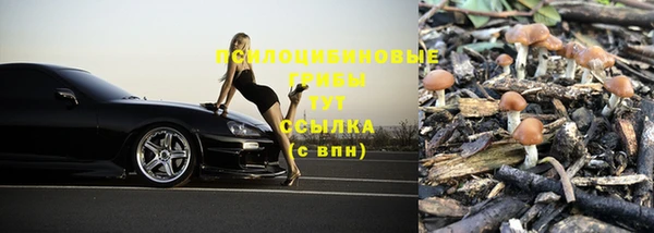 mdma Богородицк
