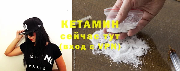 индика Богданович