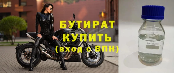 индика Богданович