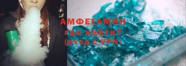 индика Богданович