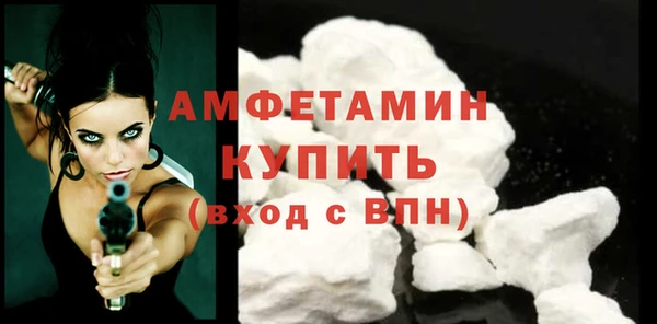 индика Богданович