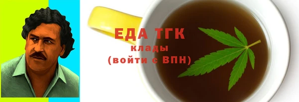 индика Богданович