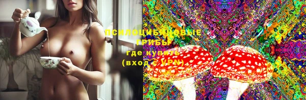 mdma Богородицк