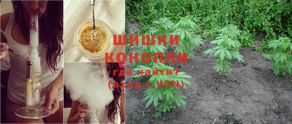 индика Богданович