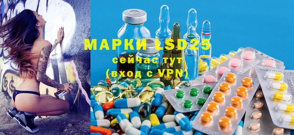 индика Богданович