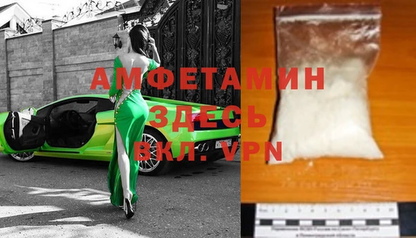 индика Богданович