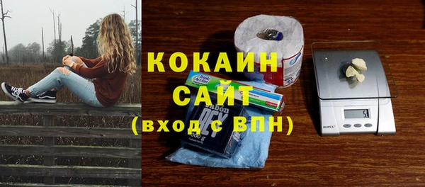 гашик Слюдянка