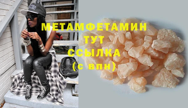 индика Богданович