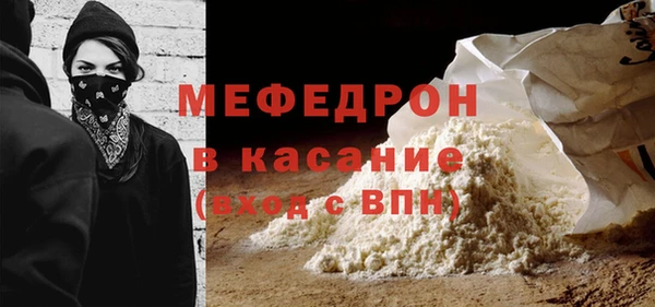 индика Богданович