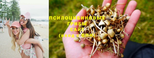 mdma Богородицк
