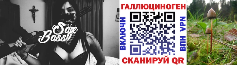 Псилоцибиновые грибы Psilocybine cubensis  Верхний Тагил 